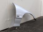 Kotflügel Fender vorn rechts Z157 Starsilber Opel Omega B ab Bj 99 Bilder
