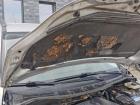 Mazda 5 CR Motorhaube Hauppe Klappe Bonnet vorn 22V Sunlight Silver Metallic