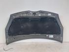 Toyota Corolla Verso ZZE ZER Motorhaube Haube Bonnet vorn 1C3 Grey Pearl Met