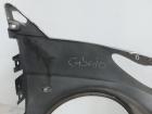 Smart 450 Cabrio Kotflügel Fender Seitenwand vorn links EAD Silbermet Text