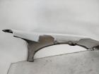 Peugeot 207 W Kotflügel Fender Seitenwand vorn links EWP Weiss Banquise