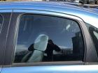 Citroen C3 Typ F Türscheibe hinten links Fondtür Seitenscheibe Colorglas