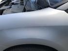 Citroen C4 Typ Links Kotflügel vorn links Fahrerseite Plastik EZR Aluminium Grau Citroen C4 Typ Links Kotflügel vorn links Fahrerseite Plastik EZR Aluminium Grau