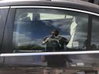 VW Passat 3C B6 Limousine Türscheibe hinten links Fondtür Scheibe Colorglas VW Passat 3C B6 Limousine Türscheibe hinten links Fondtür Scheibe Colorglas