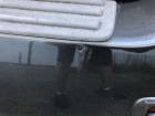 Kia Sorento JC Stoßfänger hinten Heckschürze mit Zubehör PDC Stoßstange Heck