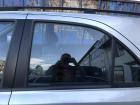 Kia Sorento JC Türscheibe hinten links Seitenscheibe Scheibe Fondtür Colorglas Kia Sorento JC Türscheibe hinten links Seitenscheibe Scheibe Fondtür Colorglas