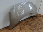 Renault Modus JP0 Bj.06 Haube Motorhaube Dakota Beige D11 leichter Hagel