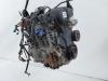Ford Fiesta JA8 Motor Engine 1.25 44kw Stja nur 40tkm Benzinmotor