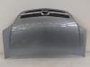 Opel Meriva außen Motorhaube Haube Klappe DEckel Bonnet vorn 4AU Lichtsilber bis 06
