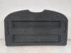 Nissan Qashqai J10 Hutablage Heckablage Laderaumabdeckung Kofferraumabdeckung